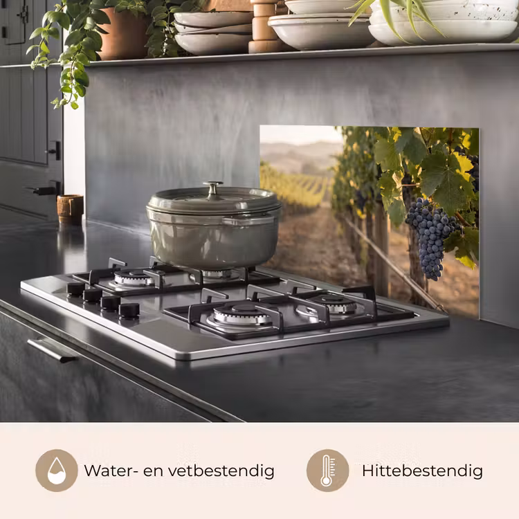 Druiven - Wijngaard - Zonlicht keuken achterwand spatscherm klein -usp_NL