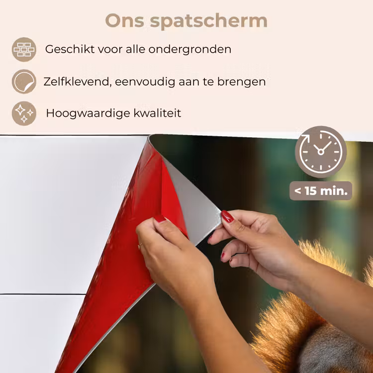 Eekhoorn - Nootje - Gras keuken achterwand spatscherm klein -spatscherm_NL