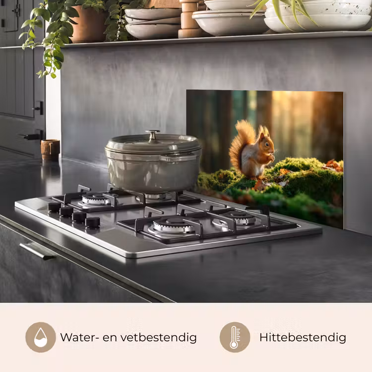 Eekhoorn - Nootje - Gras keuken achterwand spatscherm klein -usp_NL