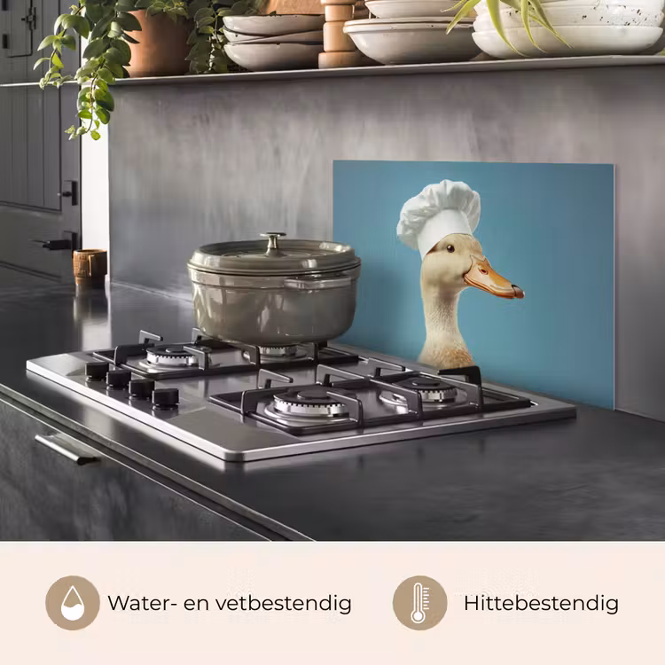 Eend - Koksmuts - Cute - Vogel keuken achterwand spatscherm klein -usp_NL
