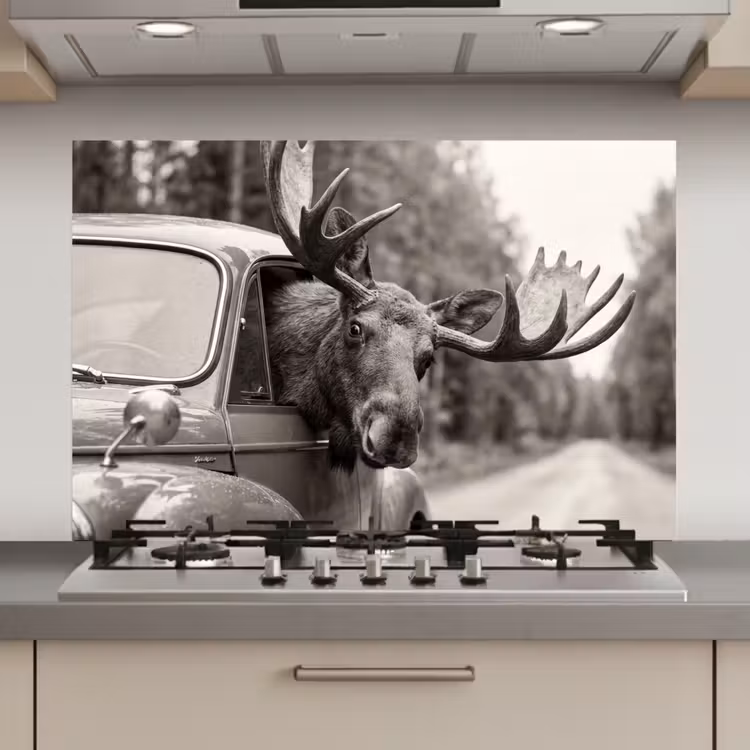 Eland - Auto - Gewei - Zwart - Wit keuken achterwand spatscherm klein -3d_website