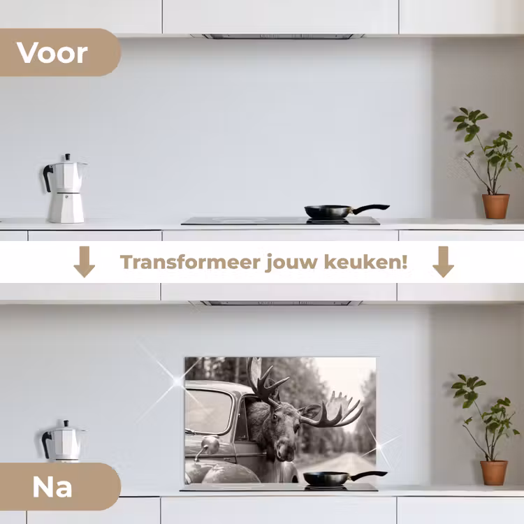Eland - Auto - Gewei - Zwart - Wit keuken achterwand spatscherm klein -voor_na_NL