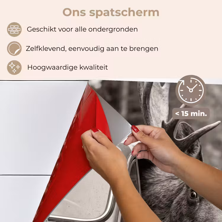Eland - Auto - Gewei - Zwart - Wit keuken achterwand spatscherm klein -spatscherm_NL