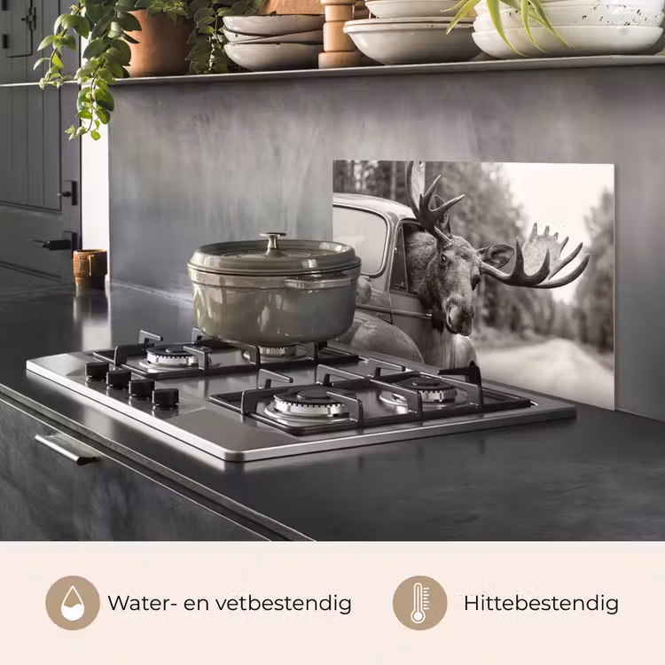 Eland - Auto - Gewei - Zwart - Wit keuken achterwand spatscherm klein -usp_NL