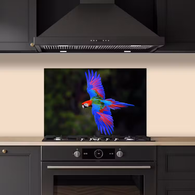 Felgekleurd - Papegaai - Bos - Vleugels keuken achterwand spatscherm klein -sfeer1