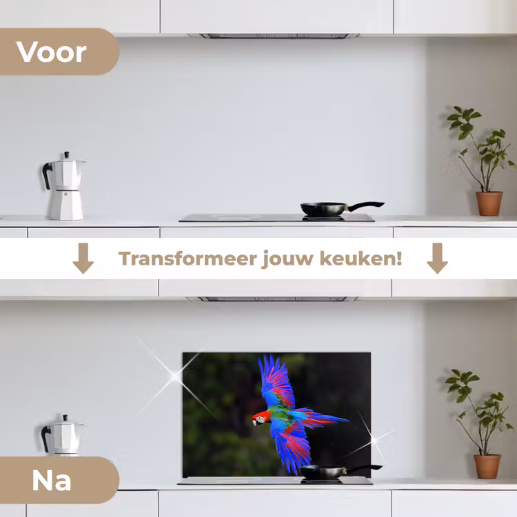 Felgekleurd - Papegaai - Bos - Vleugels keuken achterwand spatscherm klein -voor_na_NL