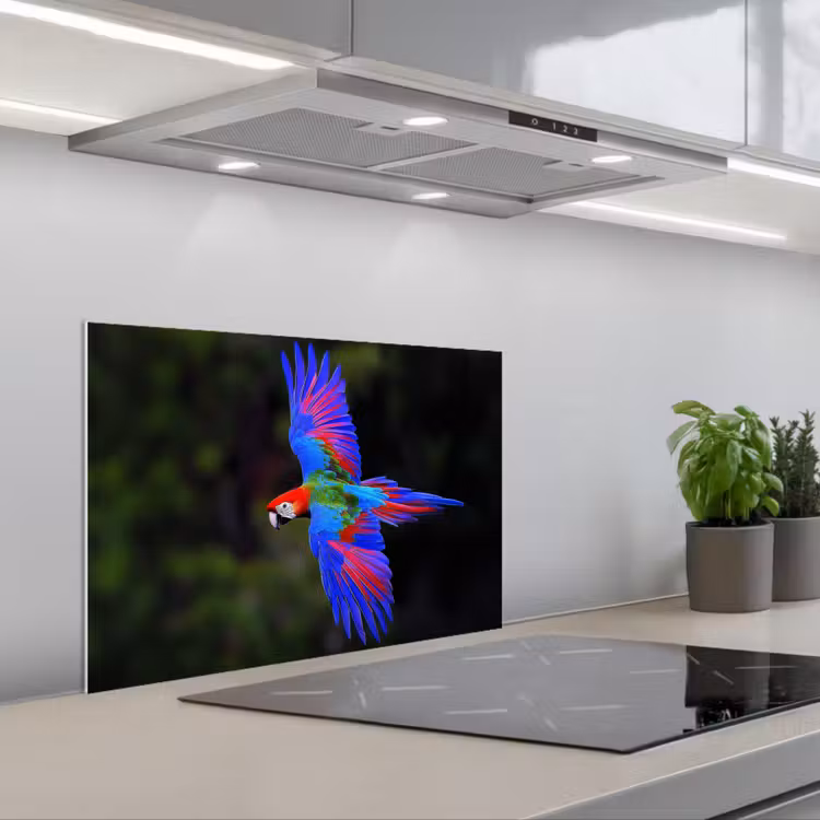 Felgekleurd - Papegaai - Bos - Vleugels keuken achterwand spatscherm klein -3d_schuin