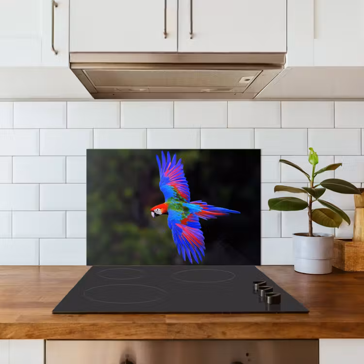 Felgekleurd - Papegaai - Bos - Vleugels keuken achterwand spatscherm klein -sfeer2