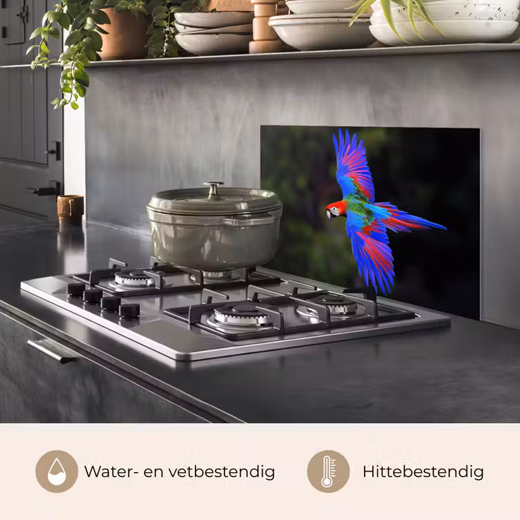 Felgekleurd - Papegaai - Bos - Vleugels keuken achterwand spatscherm klein -usp_NL
