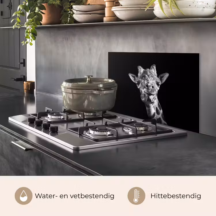 Giraffe - Dier - Zwart - Wit keuken achterwand spatscherm klein -usp_NL