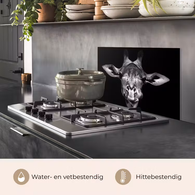 Giraffe - Portret - Dieren - Zwart - Wit keuken achterwand spatscherm klein -usp_NL