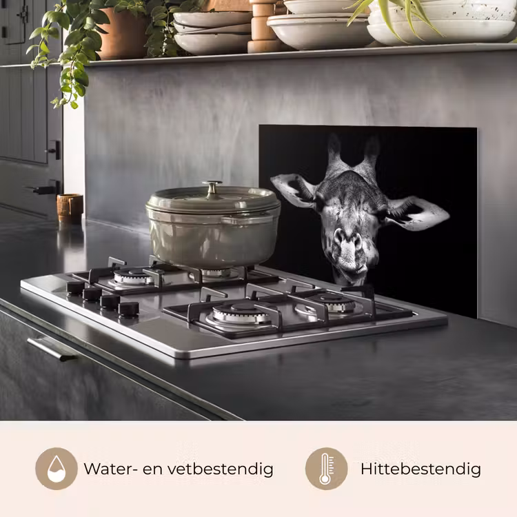 Giraffe - Portret - Dieren - Zwart - Wit keuken achterwand spatscherm klein -usp_NL