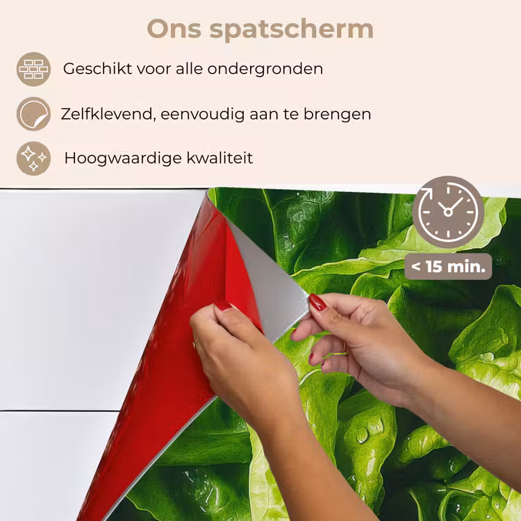 Groente - Sla - Groen keuken achterwand spatscherm klein -spatscherm_NL