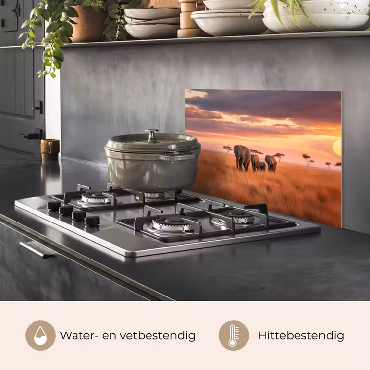 Groep olifanten - Open vlakte - Zon keuken achterwand spatscherm klein -usp_NL
