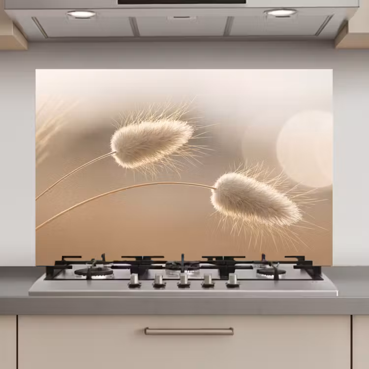 Hazestaartgras - Graanharen - Zonlicht keuken achterwand spatscherm klein -3d_website