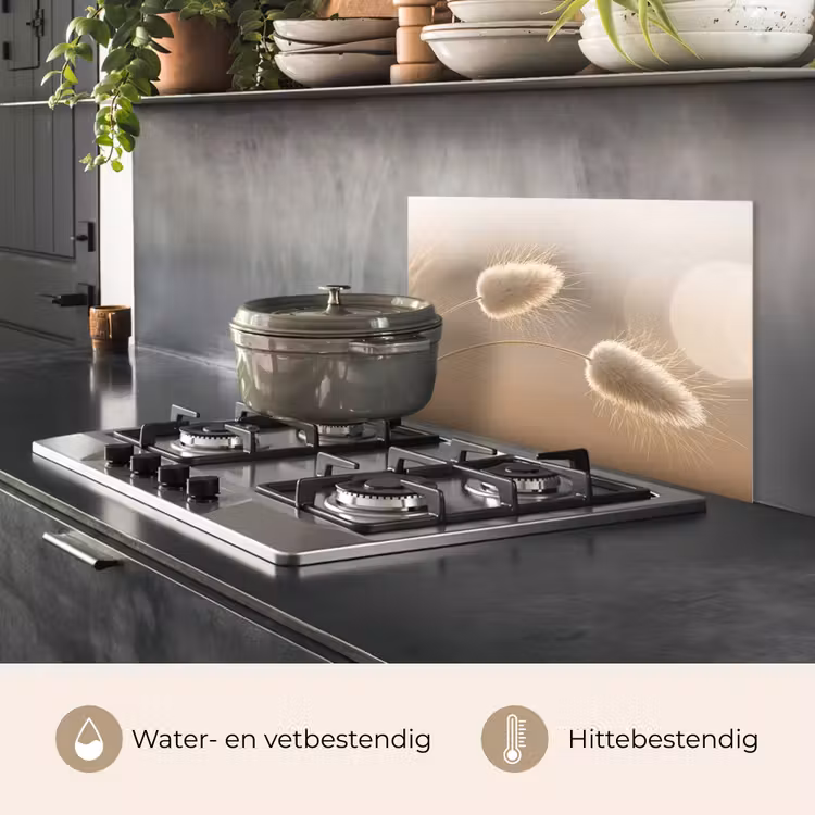 Hazestaartgras - Graanharen - Zonlicht keuken achterwand spatscherm klein -usp_NL