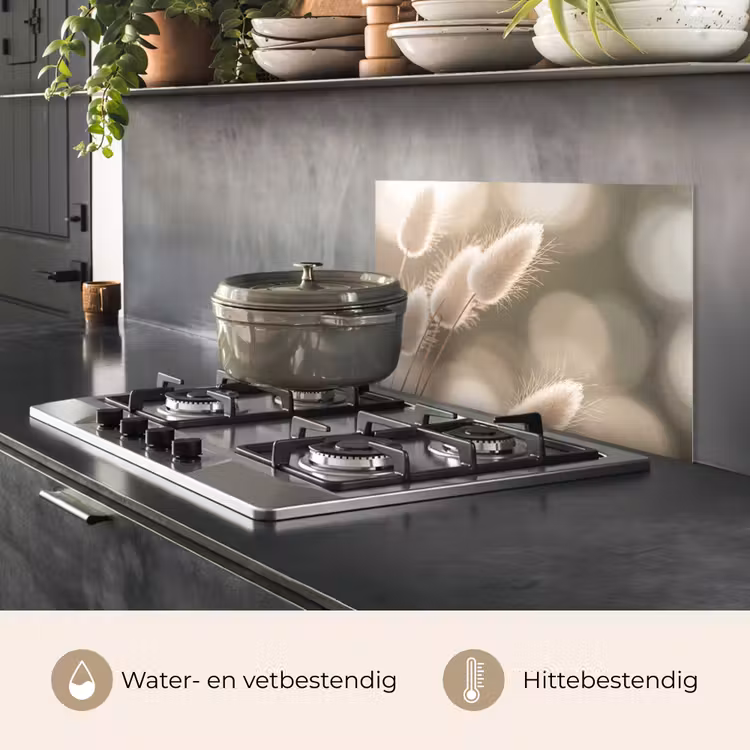 Hazestaartgras - Wit - Zonlicht keuken achterwand spatscherm klein -usp_NL