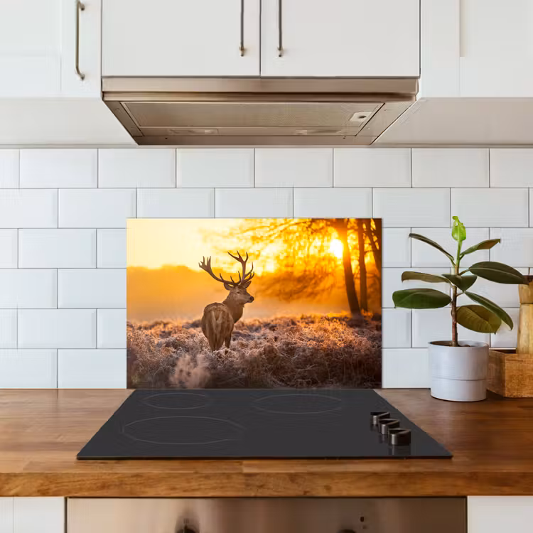 Hert - Dieren - Zonsondergang - Winter - Heide - Natuur keuken achterwand spatscherm klein -sfeer2