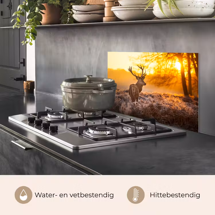 Hert - Dieren - Zonsondergang - Winter - Heide - Natuur keuken achterwand spatscherm klein -usp_NL