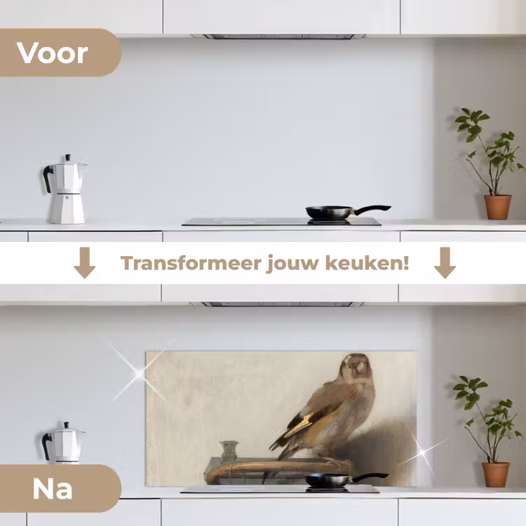 Het puttertje - Carel Fabritius keuken achterwand spatscherm middel -voor_na_NL