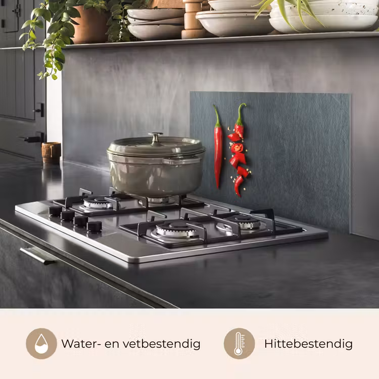Het Spectrum van Pittigheid keuken achterwand spatscherm klein -usp_NL