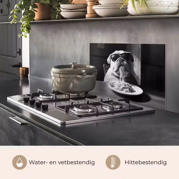Hond - Bulldog - Pasta - Bril - Stoer - Dieren keuken achterwand spatscherm klein -usp_NL