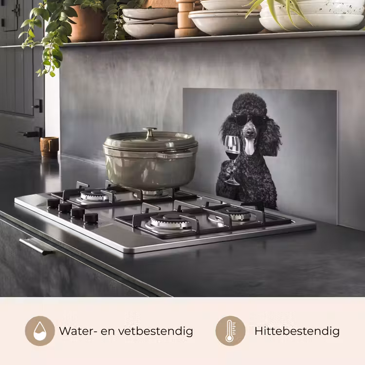 Hond - Krullen - Zonnebril - Wijn keuken achterwand spatscherm klein -usp_NL