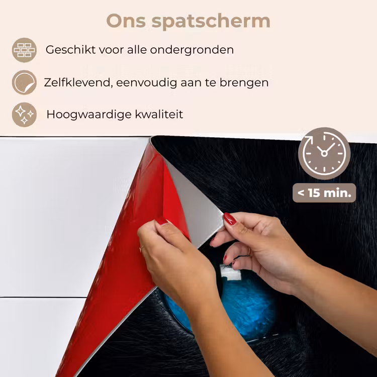 Kat - Blauw - Dier - Zwart keuken achterwand spatscherm klein -spatscherm_NL