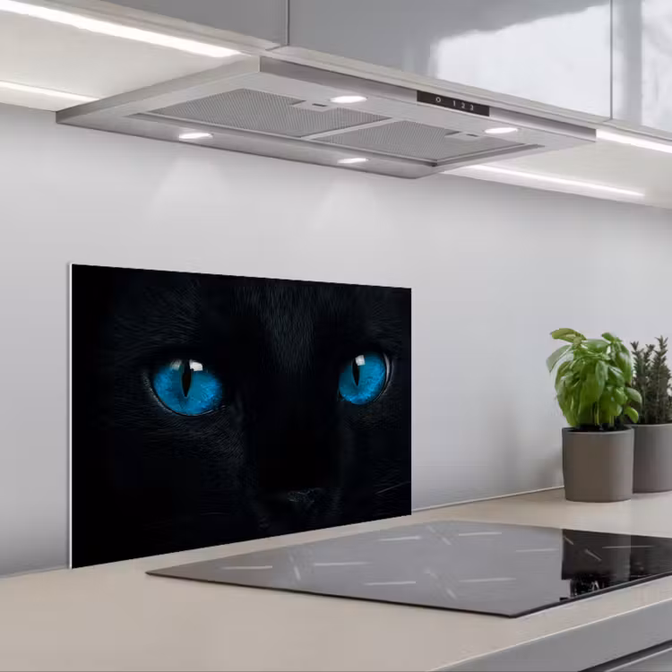 Kat - Blauw - Dier - Zwart keuken achterwand spatscherm klein -3d_schuin
