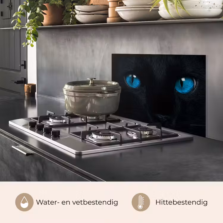 Kat - Blauw - Dier - Zwart keuken achterwand spatscherm klein -usp_NL