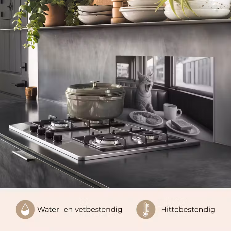 Kat - Koffie - Brood - Zwart keuken achterwand spatscherm klein -usp_NL