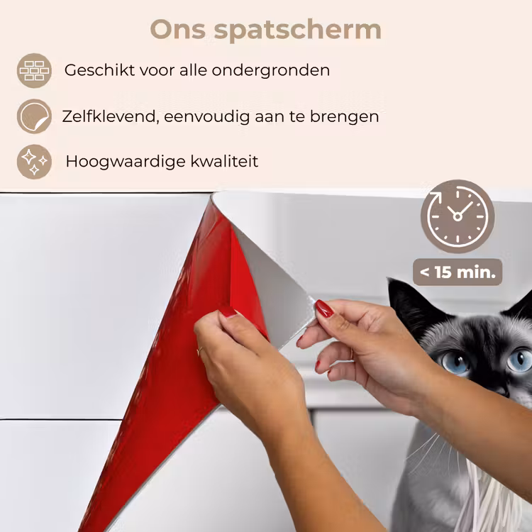 Kat - Siamees - Zwart Wit - Schattig - Dieren keuken achterwand spatscherm klein -spatscherm_NL