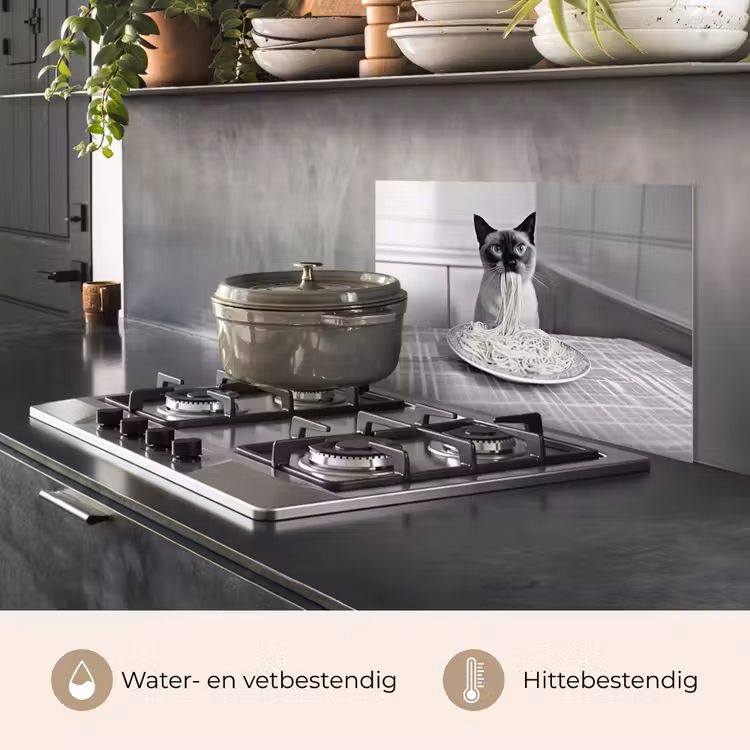 Kat - Siamees - Zwart Wit - Schattig - Dieren keuken achterwand spatscherm klein -usp_NL