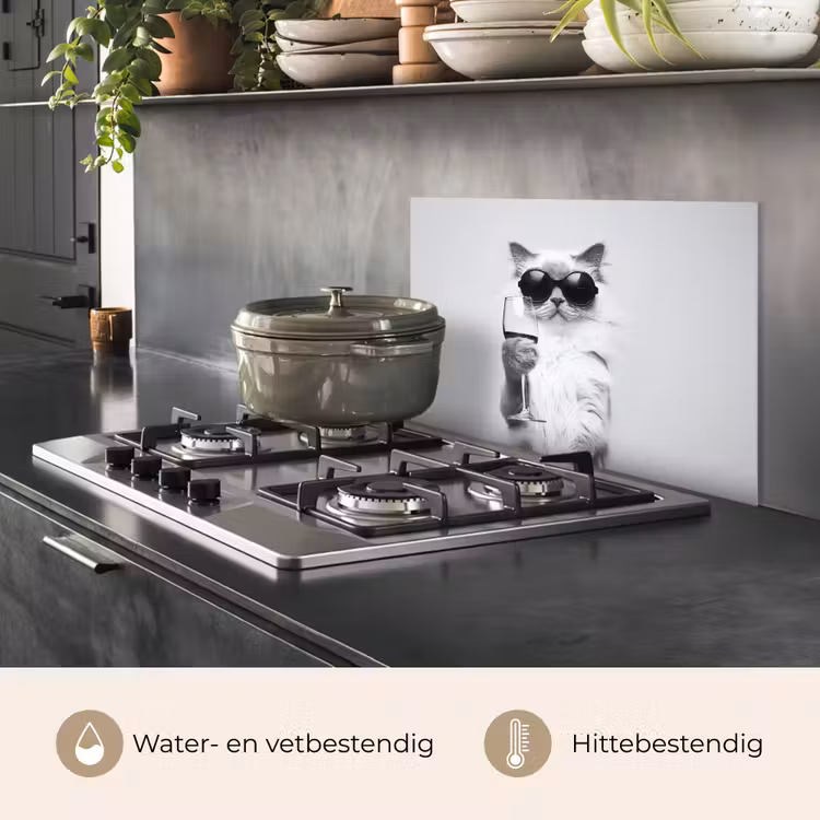 Kat - Zonnebril - Wijnglas - Langharig keuken achterwand spatscherm klein -usp_NL