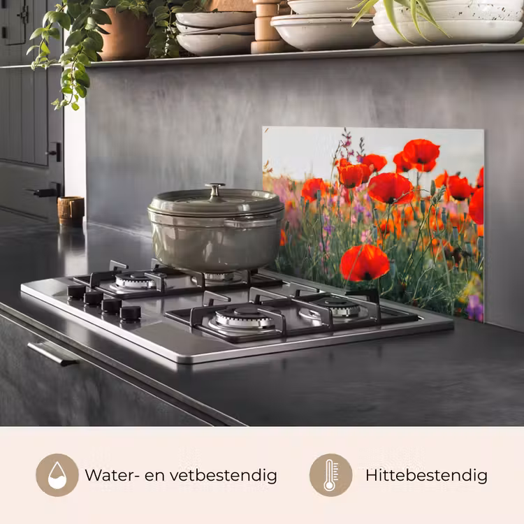 Klaproos - Bloemen - Rood - Paars - Weide keuken achterwand spatscherm klein -usp_NL