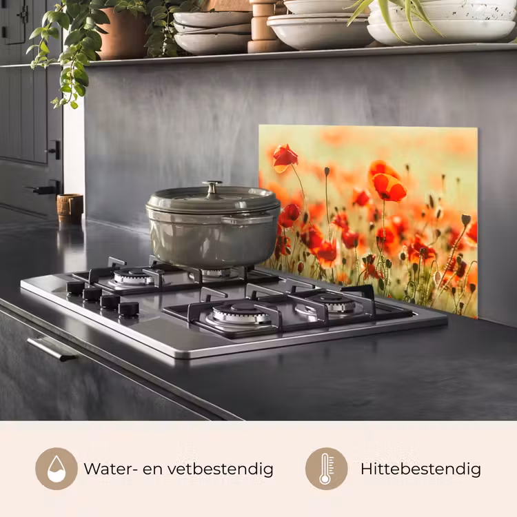 Klaprozen - Bloemen - Rood - Bloemenveld keuken achterwand spatscherm klein -usp_NL