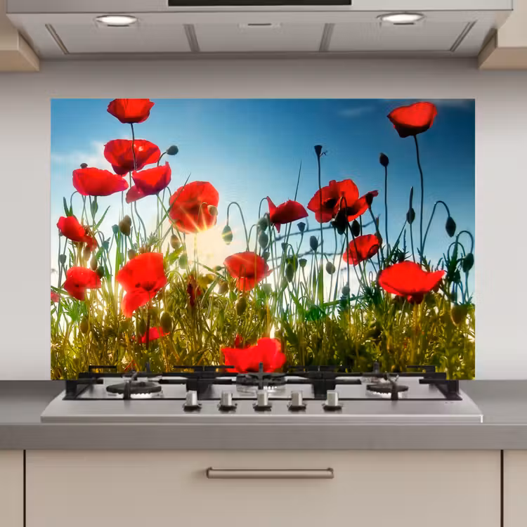 Klaprozen - Toscane - Zon - Rood - Blauw keuken achterwand spatscherm klein -3d_website