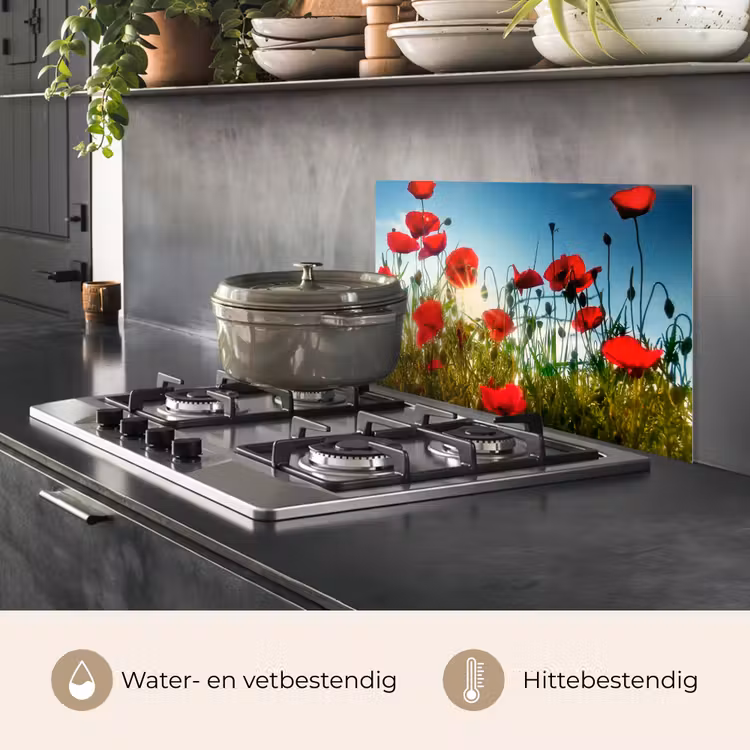 Klaprozen - Toscane - Zon - Rood - Blauw keuken achterwand spatscherm klein -usp_NL