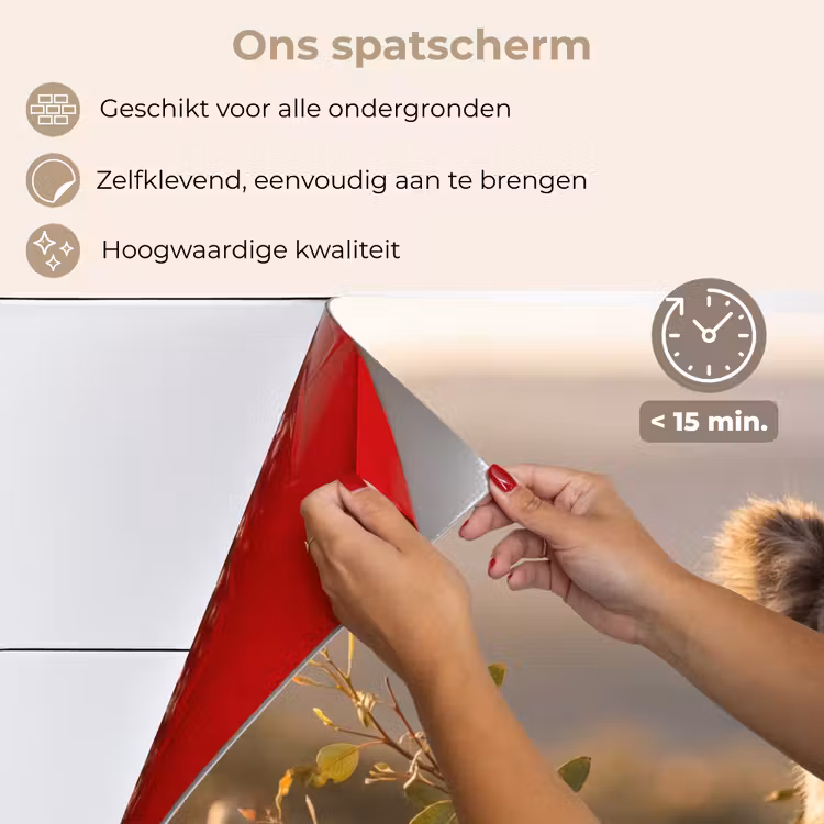 Koala - Bladeren - Ochtendlicht keuken achterwand spatscherm klein -spatscherm_NL
