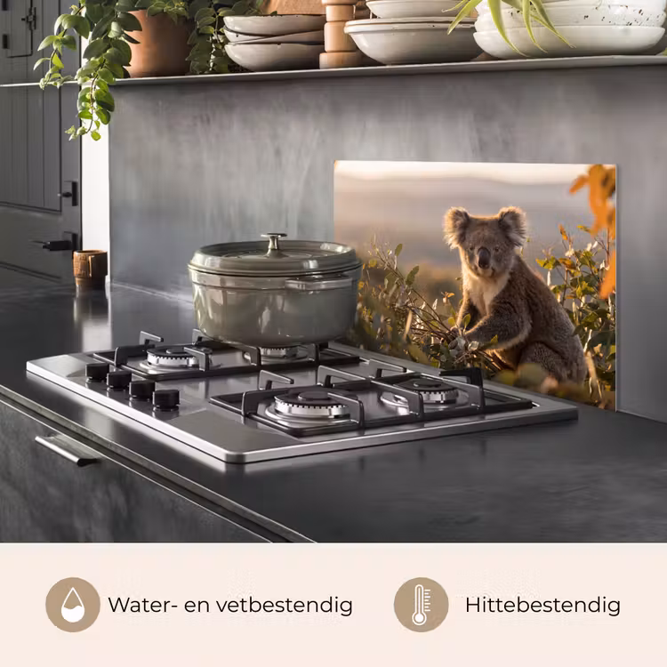 Koala - Bladeren - Ochtendlicht keuken achterwand spatscherm klein -usp_NL