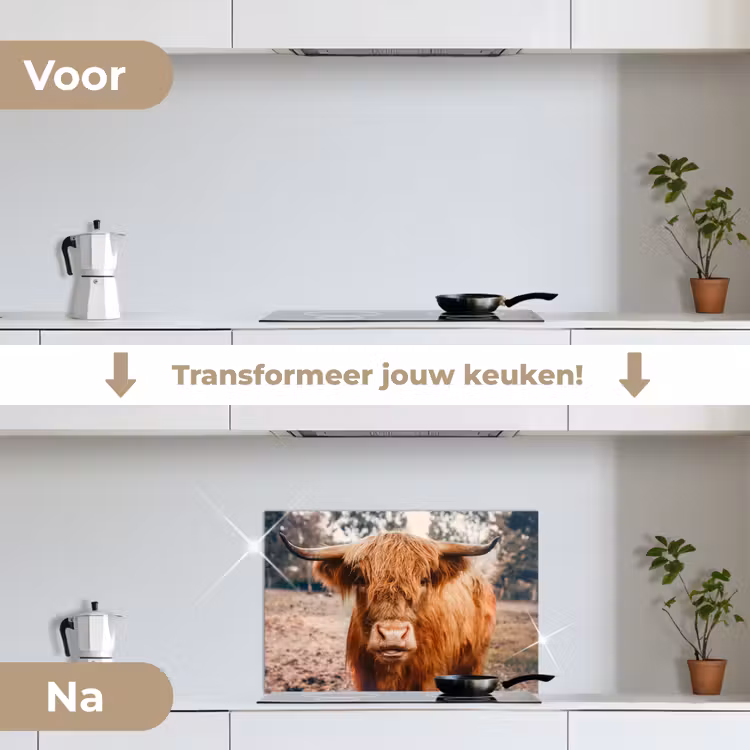 Koe- Schotse hooglander - Hoorns - Bruin - Landschap keuken achterwand spatscherm klein -voor_na_NL