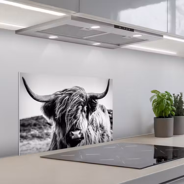 Koe - Schotse hooglander - Zwart - Wit - Dier - Natuur - Wild keuken achterwand spatscherm klein -3d_schuin