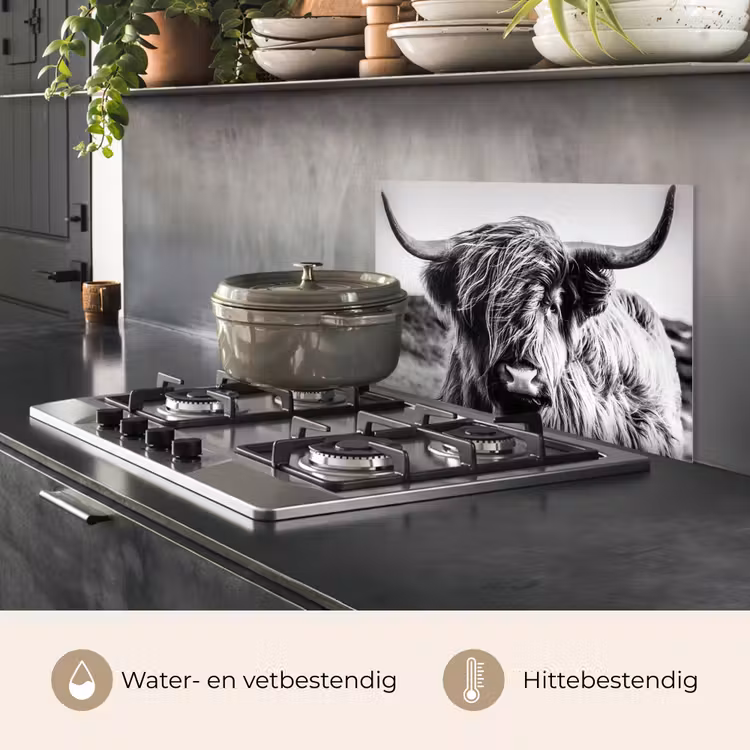 Koe - Schotse hooglander - Zwart - Wit - Dier - Natuur - Wild keuken achterwand spatscherm klein -usp_NL