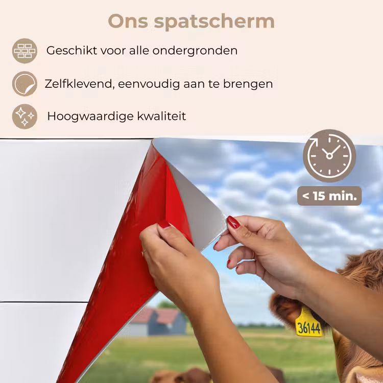 Koe - Weide - Bloemen keuken achterwand spatscherm klein -spatscherm_NL