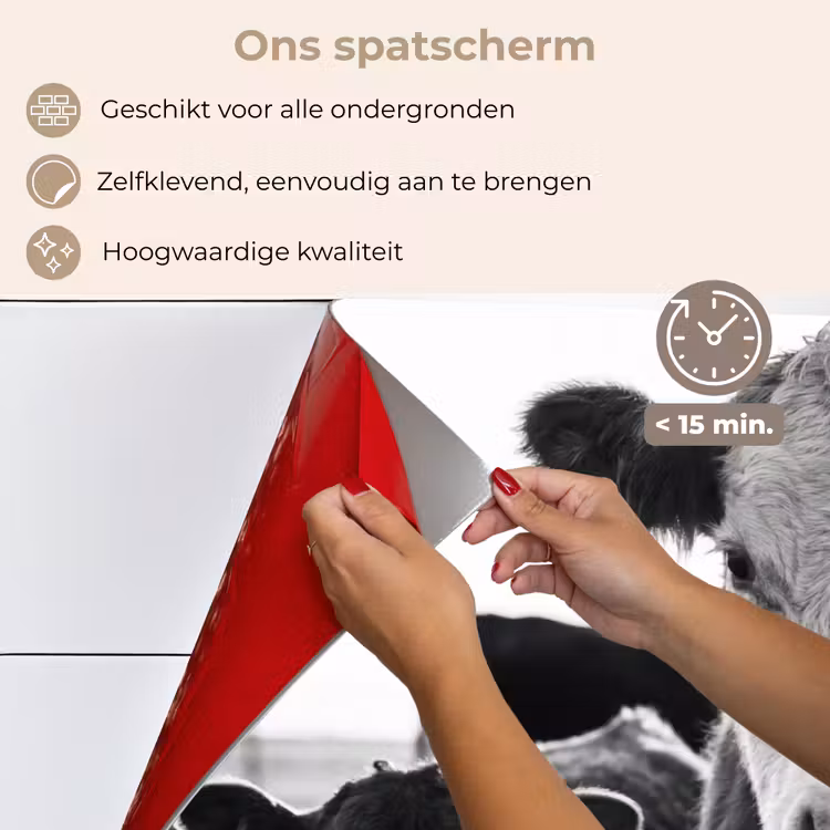 Koeien - Zwart - Wit keuken achterwand spatscherm klein -spatscherm_NL