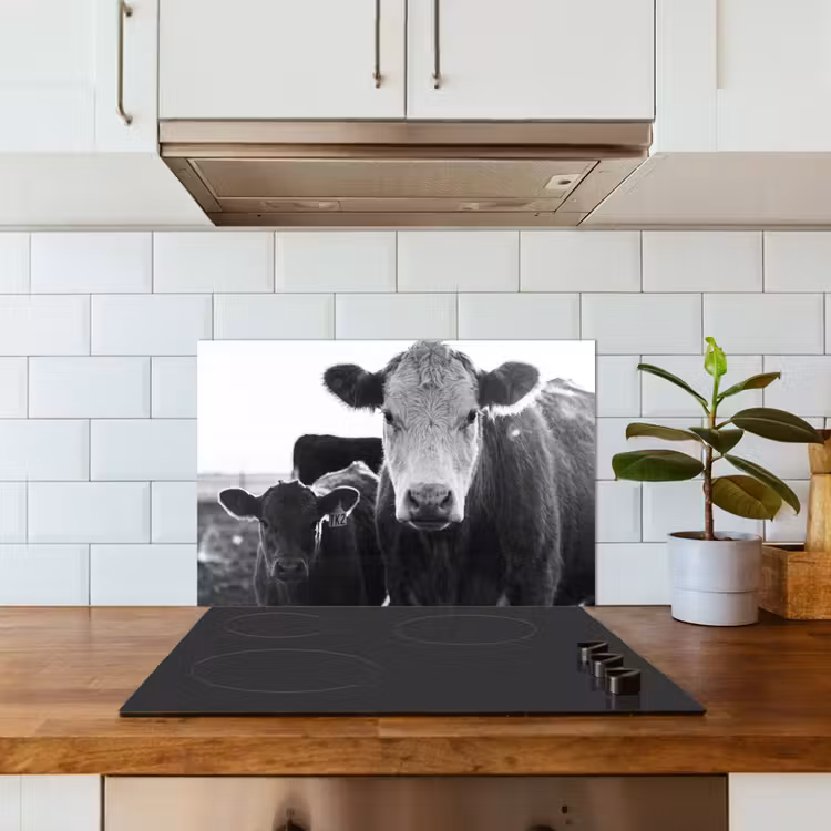 Koeien - Zwart - Wit keuken achterwand spatscherm klein -sfeer2
