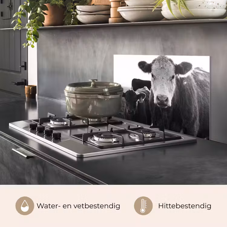 Koeien - Zwart - Wit keuken achterwand spatscherm klein -usp_NL