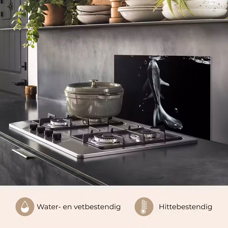 Koi - Vissen - Water - Zwart keuken achterwand spatscherm klein -usp_NL