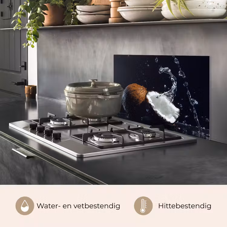 Kokosnoot - Stilleven - Water - Zwart - Fruit keuken achterwand spatscherm klein -usp_NL