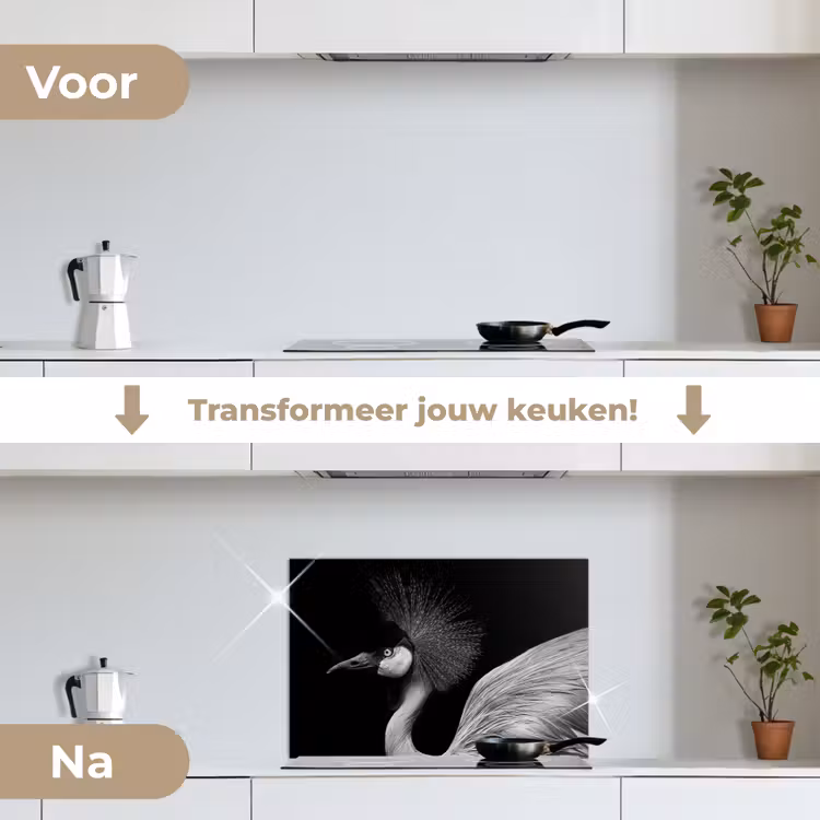 Kraanvogel - Zwart - Wit - Vogel - Dieren keuken achterwand spatscherm klein -voor_na_NL